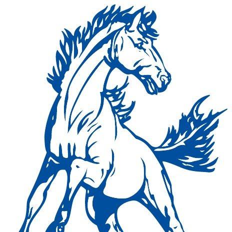 Mount Markham Mustangs