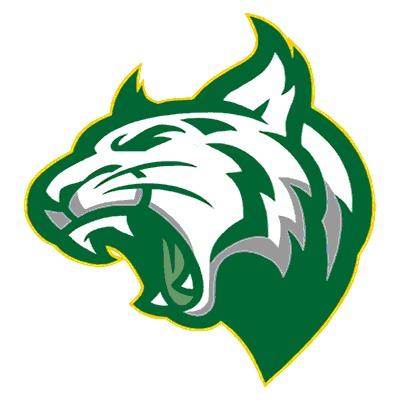 Adirondack Wildcats