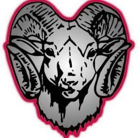Jamesville-DeWitt Red Rams
