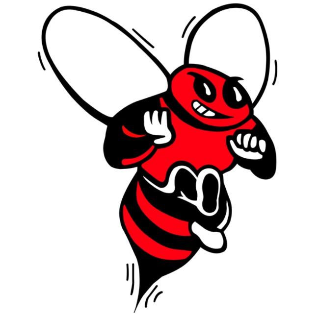 Baldwinsville Bees