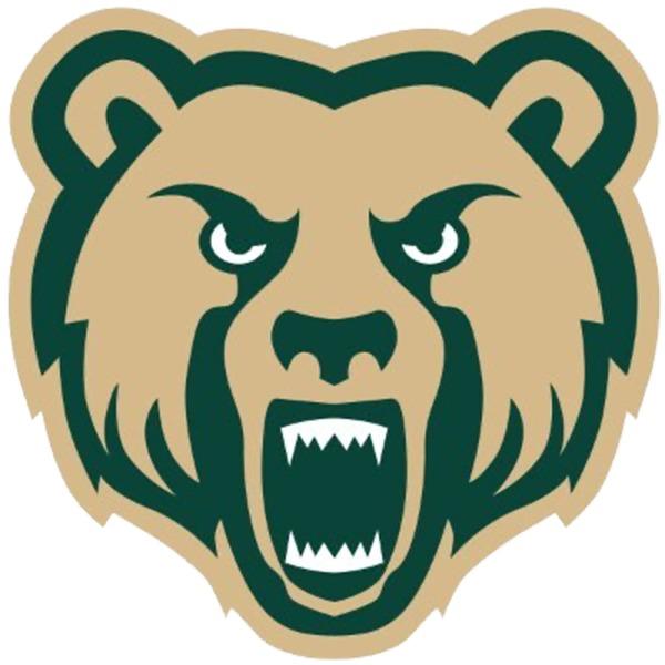 Vestal Golden Bears