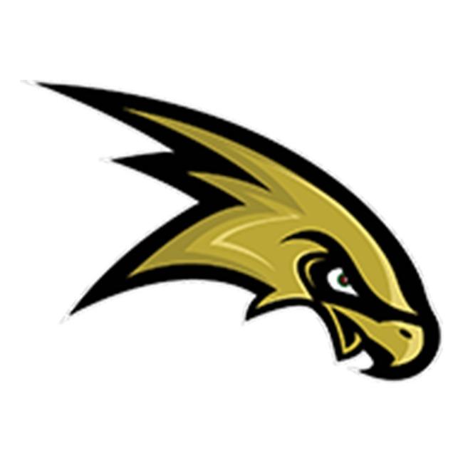 Corning-Painted Post Hawks