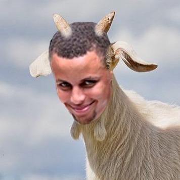 CurryGOAT