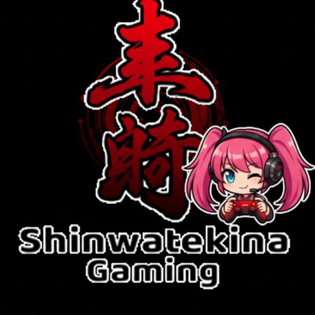 Shinwatekina Gaming