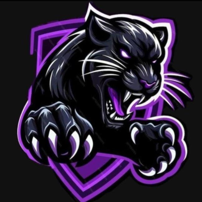 BLACK PANTHERS 2DO C