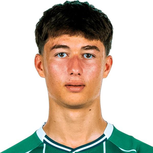 Patrice Čović