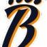 Brooklyn Bears