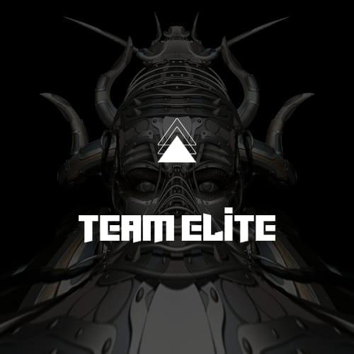 Team Elite