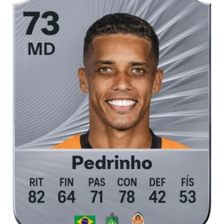 Pedrinho
