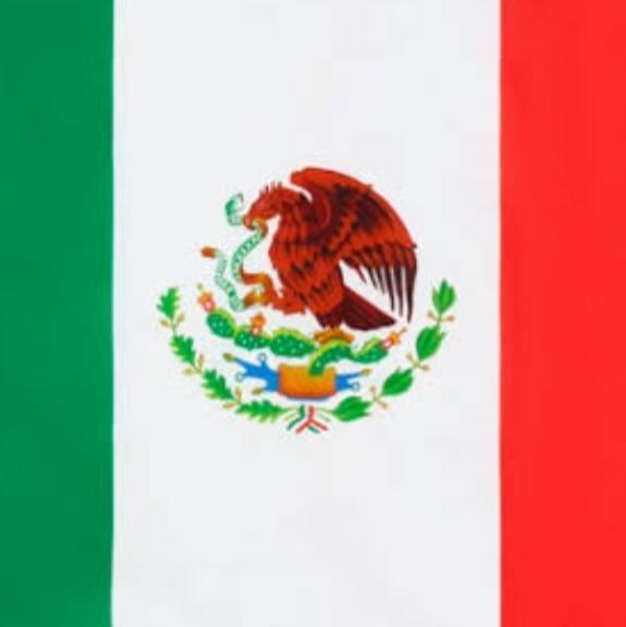 Edson Haaland [México]