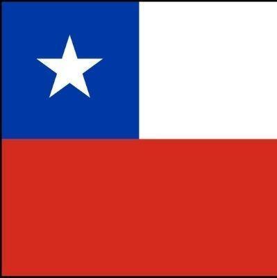 Pedro Jr [Chile]