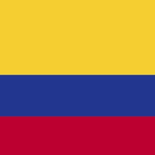 Robert Silva [Colômbia]