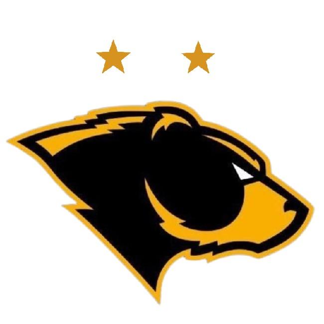 Team Bears