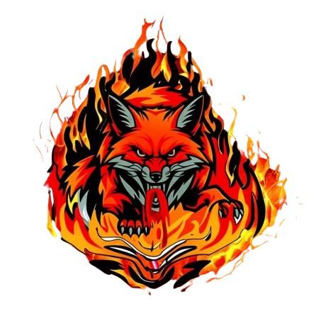 Team Red Foxes