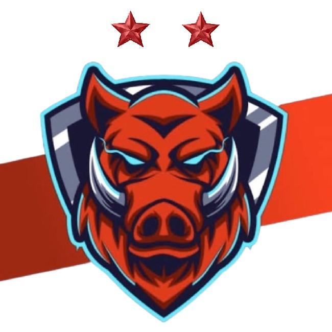 Team Wild Board