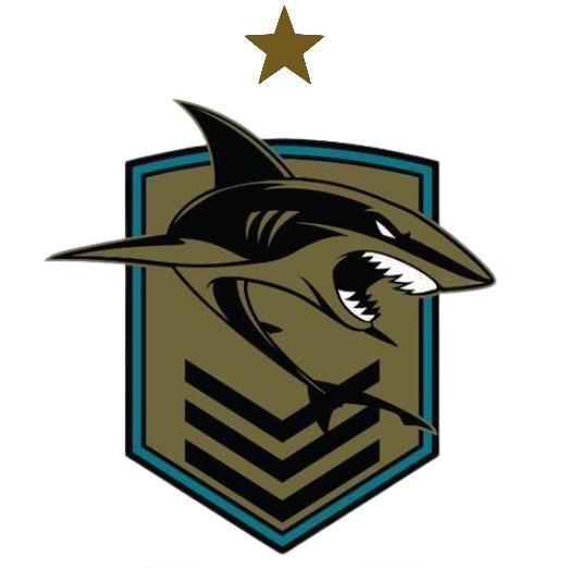 Team Shark