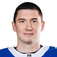 Швец-Роговой Артём