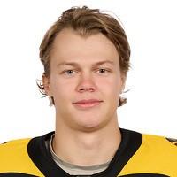 Грудинин Владимир