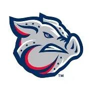 Lehigh Valley Iron Pigs