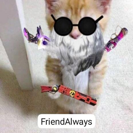 FRIEND ALWAYS