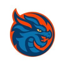 Шанхай Дрэгонс