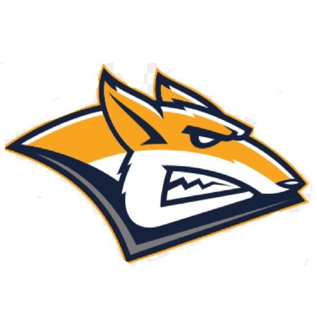 Металлург мг