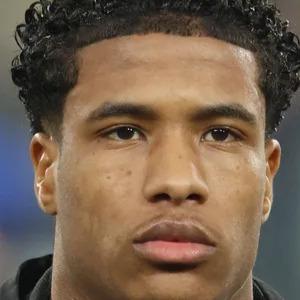 Ryan Flamingo 🇳🇱