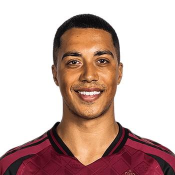 YOURI TIELEMANS