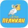 Пеликан