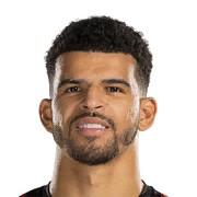 D SOLANKE