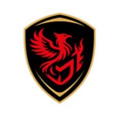 «Фенікс» (Маріуполь)