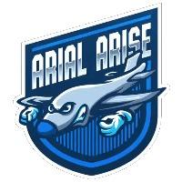 Arial Arise