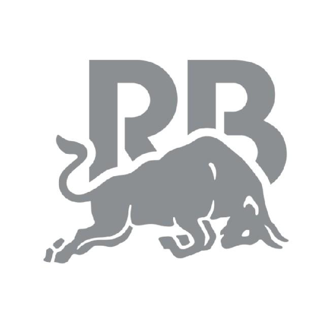 Рейсинг Буллс