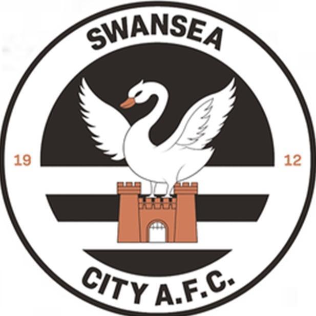 SWEANSEA CITY