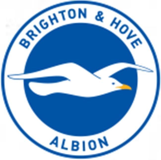 BRIGHTON & HOVE ALBION