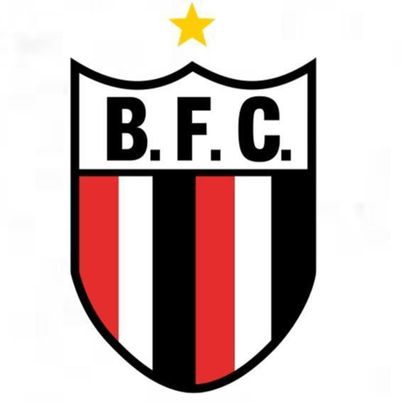BOTAFOGO - SP