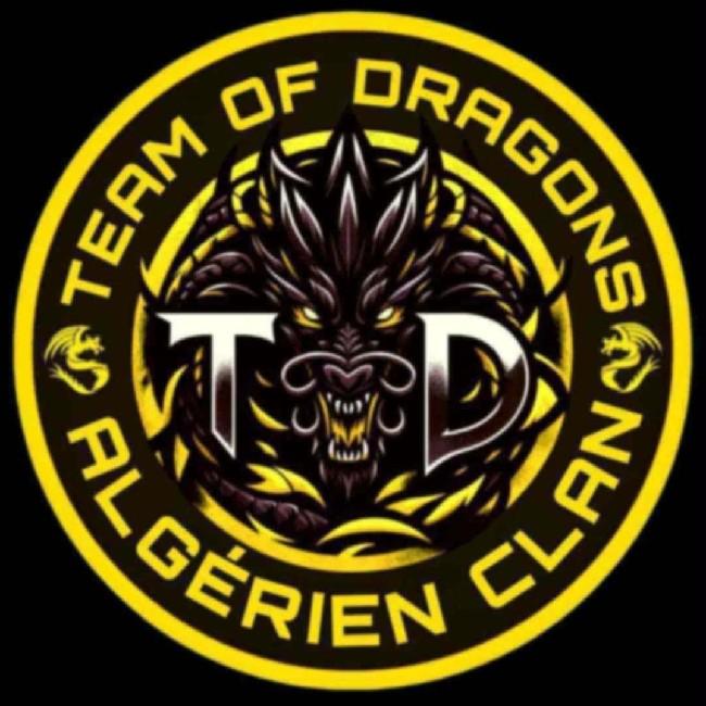 TEAM OF DRAGON