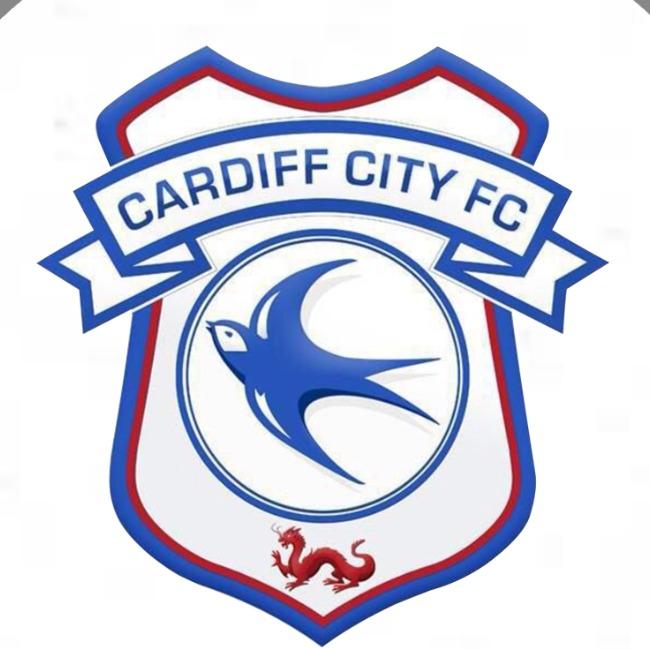 CARDIFF CITY