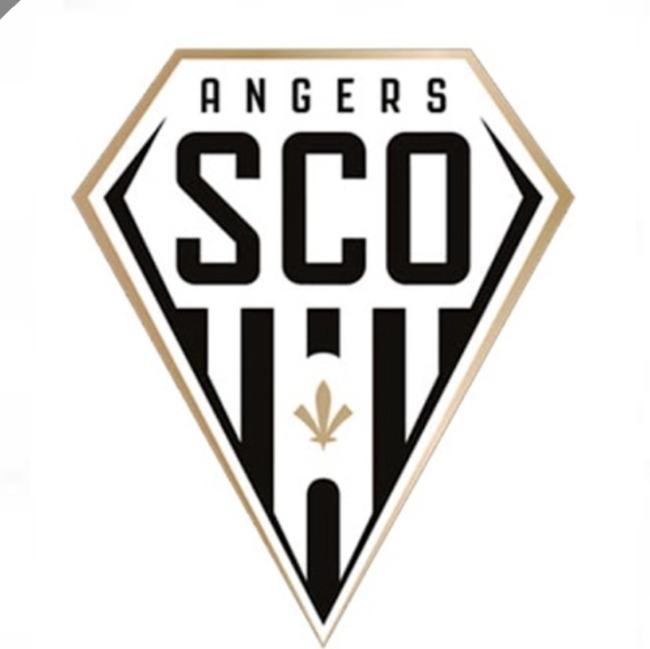 ANGERS