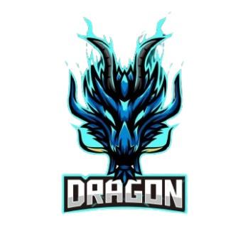 TEAM DRAGON 🇧🇴