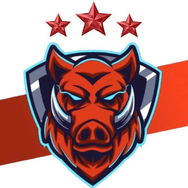 TEAM WILD BOARD 🇧🇴