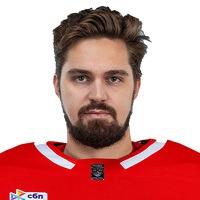 Дмитрий Николаев