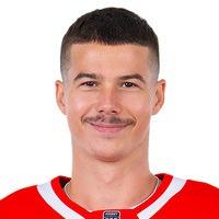 Ярослав Голдобин