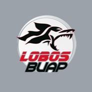 Lobos BUAP