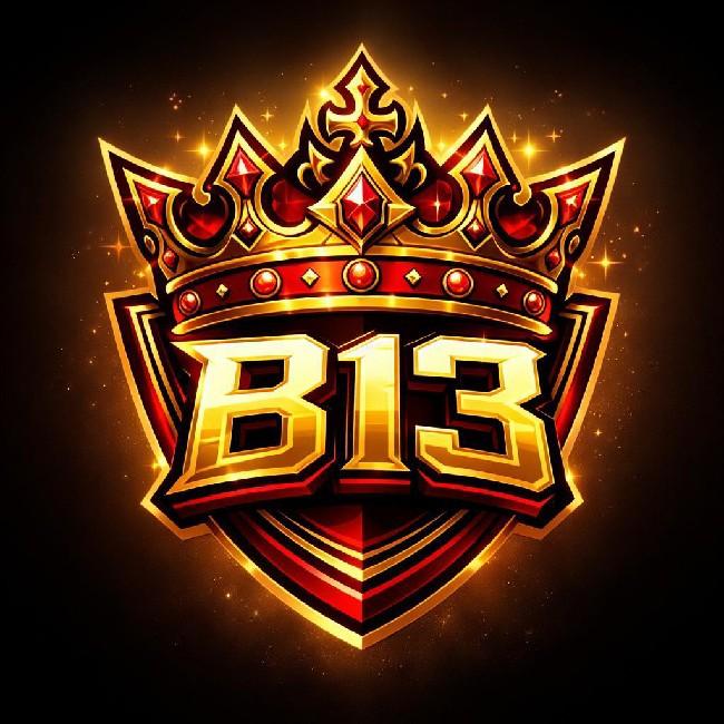 B13