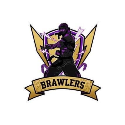 Arizona Brawlers