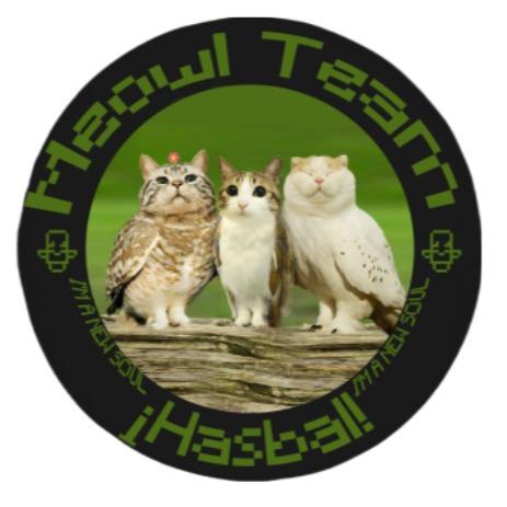 Meowl Team