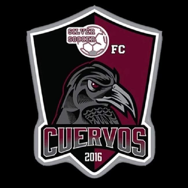 Cuervos de Silver Soccer