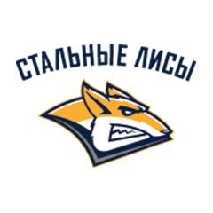 Стальные Лисы