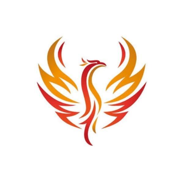 Phoenix Esports BR